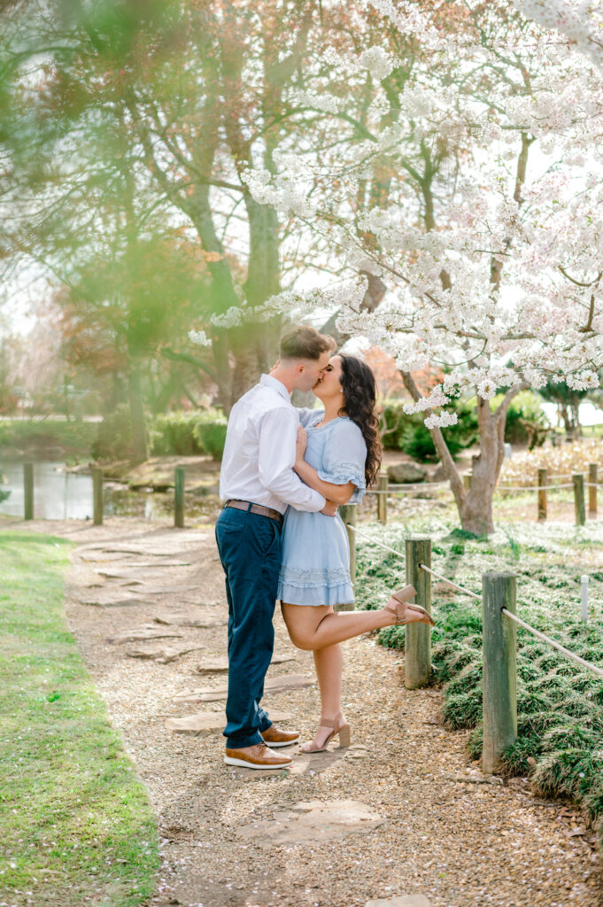 Girl wearing blue dress kissing male fiance in white collared shirt under cherry blossom trees