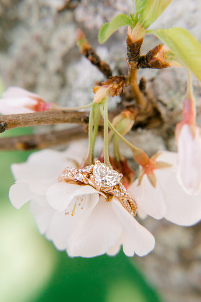 Heart shaped diamond engagement ring sitting on a cherry blossom in a tree at Furman University in Greenville SC