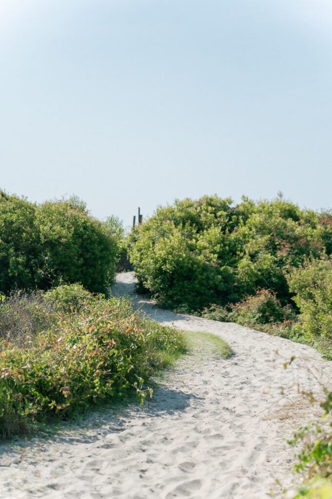 Isle of Palms beach access points with different terrains