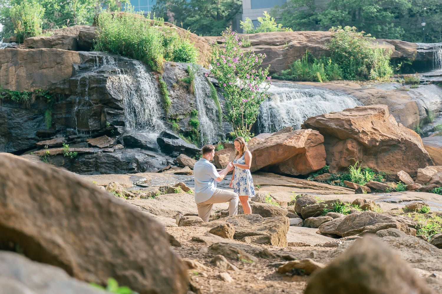 Proposing at Reedy River Waterfalls in Greenville, SC